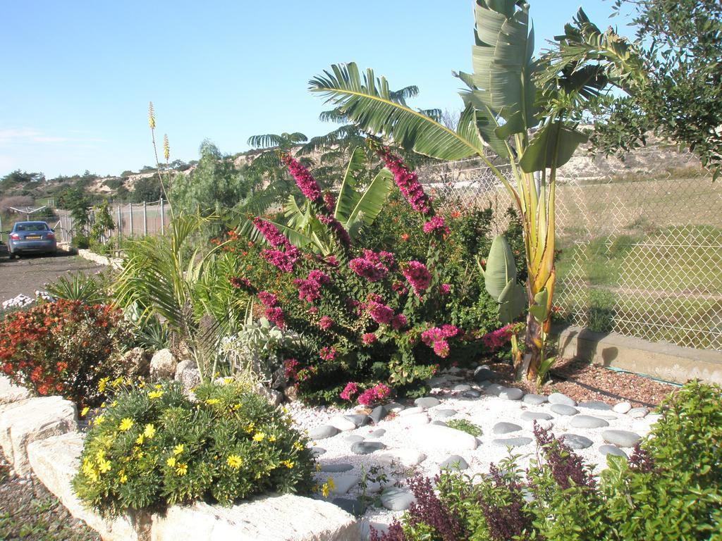 Paradise Traditional House Maroni Exterior foto